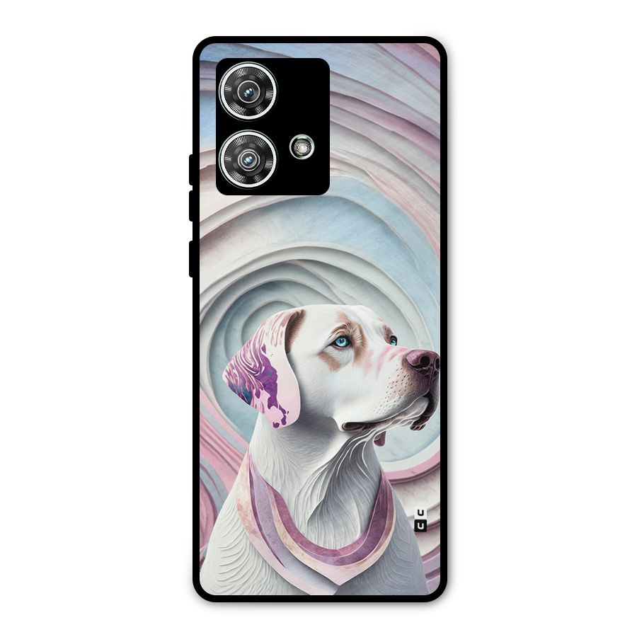 Eye Dog illustration Metal Back Case for Motorola Edge 40 Neo