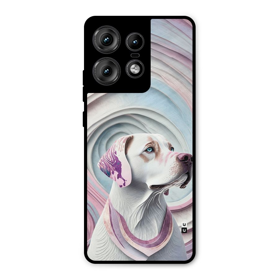 Eye Dog illustration Metal Back Case for Motorola Edge 50 Pro