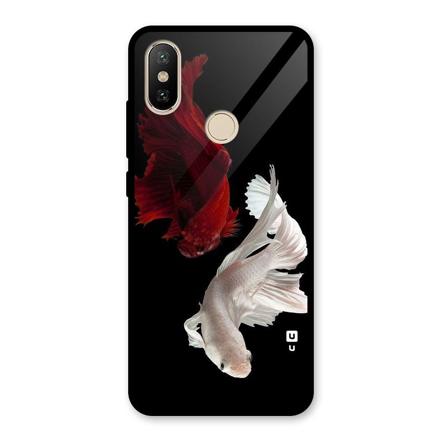 Fish Design Glass Back Case for Redmi A2