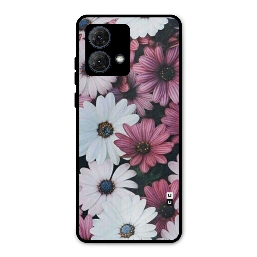 Floral Shades Pink Metal Back Case for Moto G84