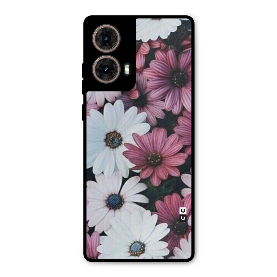 Floral Shades Pink Metal Back Case for Moto G85