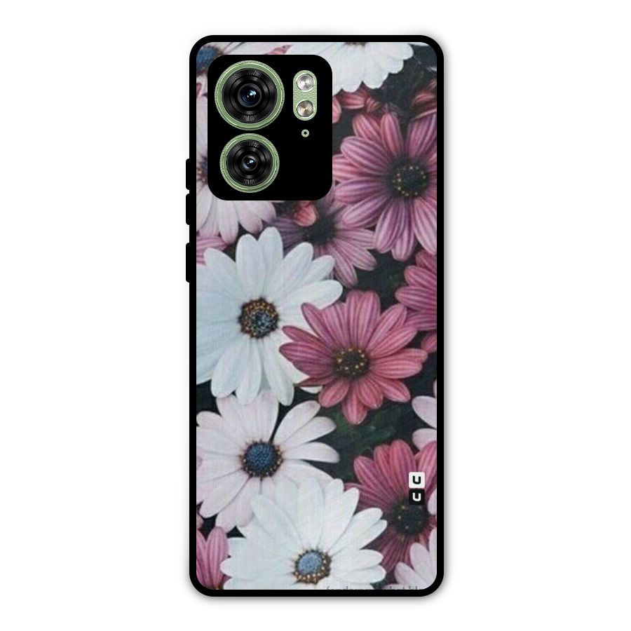 Floral Shades Pink Metal Back Case for Motorola Edge 40 5G