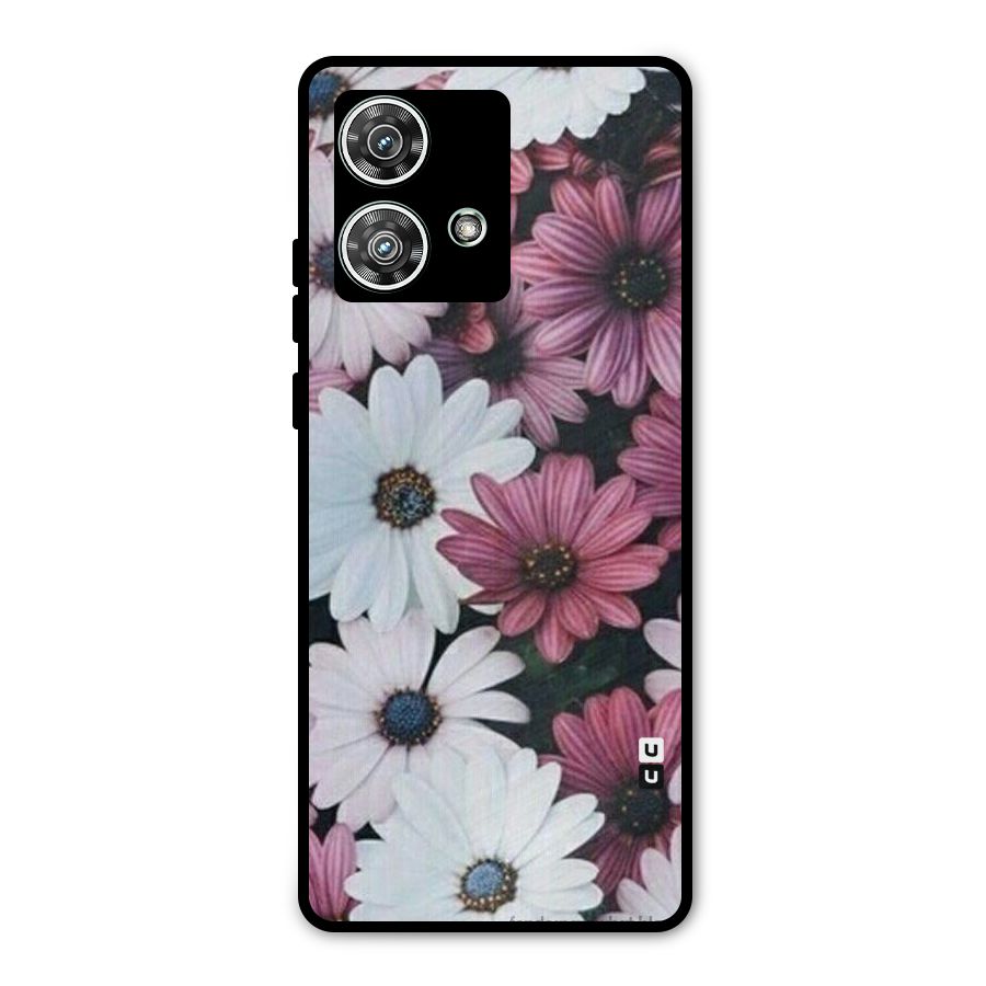 Floral Shades Pink Metal Back Case for Motorola Edge 40 Neo