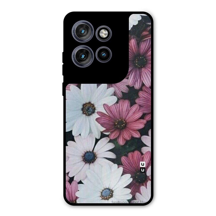 Floral Shades Pink Metal Back Case for Motorola Edge 50 Neo