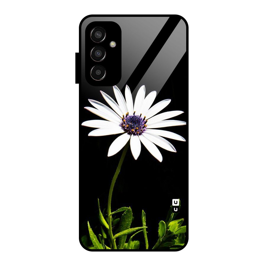 Flower White Spring Glass Back Case for Galaxy F13