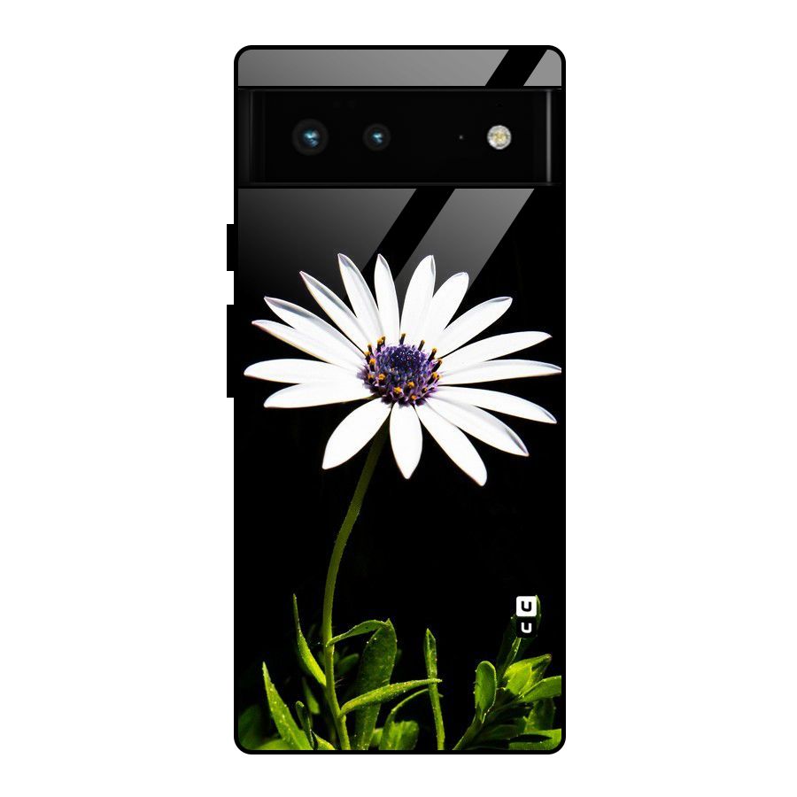 Flower White Spring Glass Back Case for Google Pixel 6