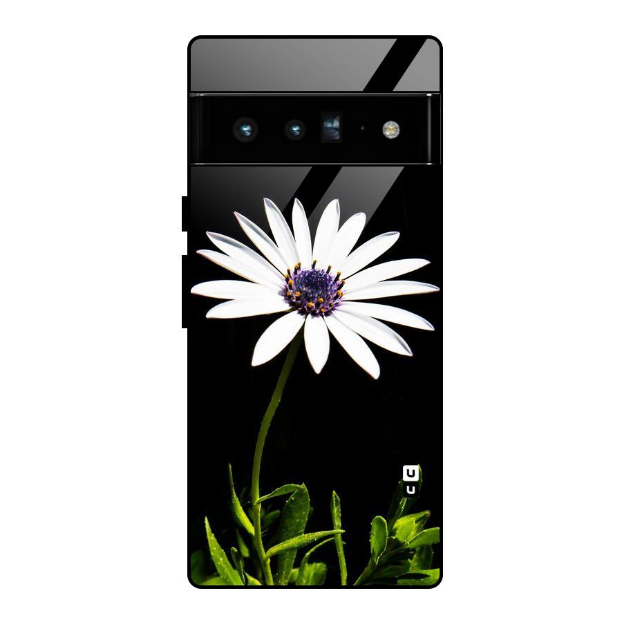 Flower White Spring Glass Back Case for Google Pixel 6 Pro