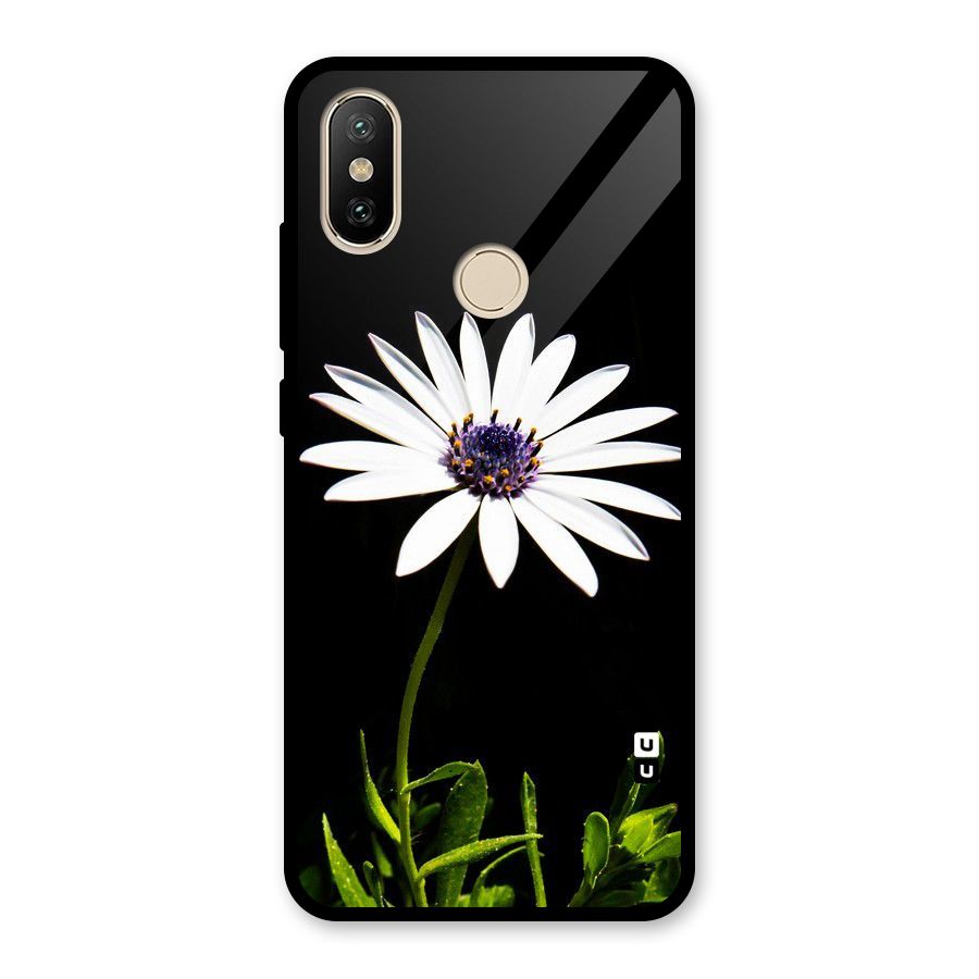 Flower White Spring Glass Back Case for Redmi A2
