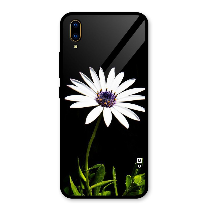 Flower White Spring Glass Back Case for Vivo V11 Pro