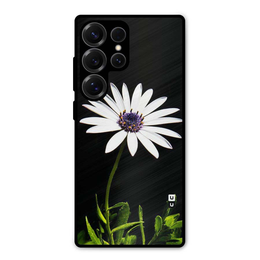 Flower White Spring Metal Back Case for Galaxy S25 Ultra