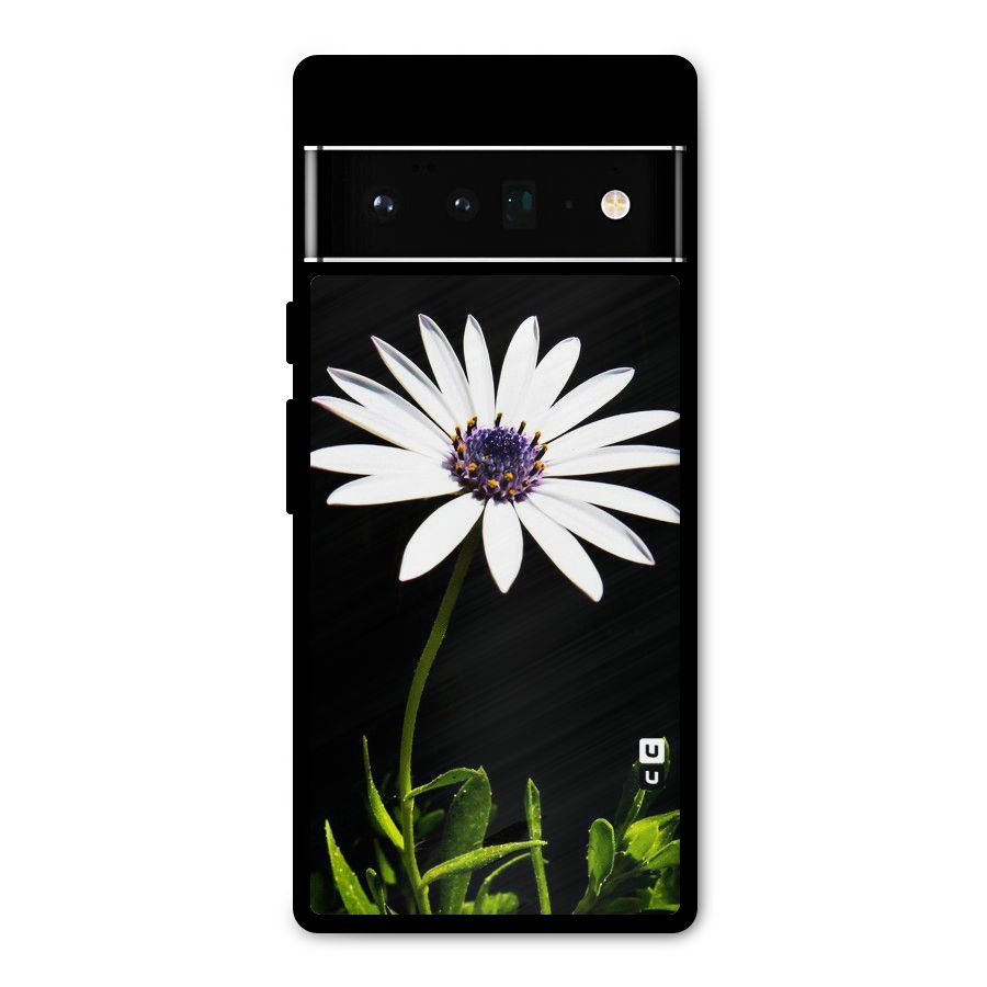 Flower White Spring Metal Back Case for Google Pixel 6 Pro