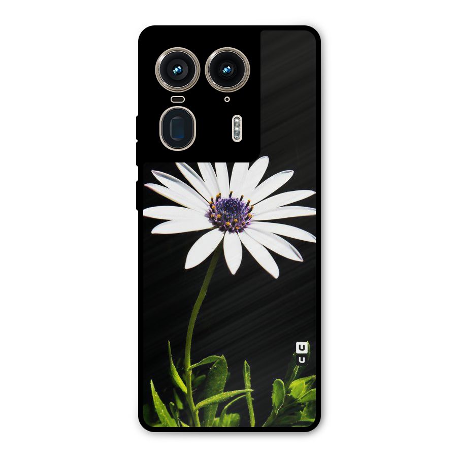 Flower White Spring Metal Back Case for Motorola Edge 50 Ultra