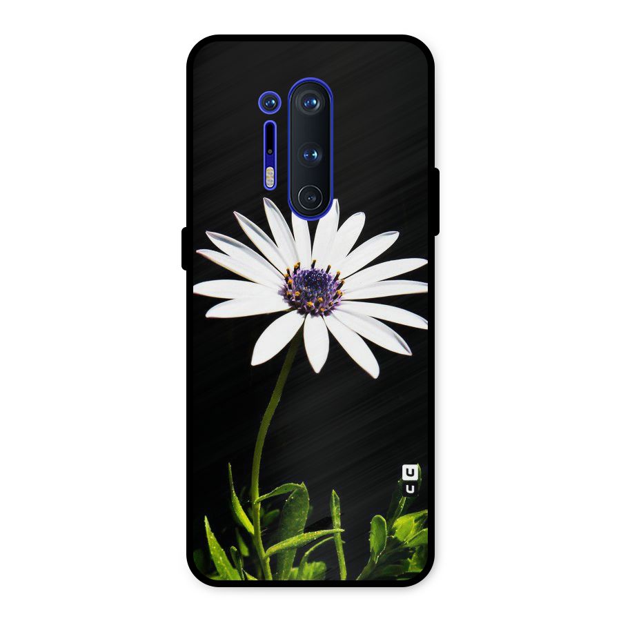 Flower White Spring Metal Back Case for OnePlus 8 Pro