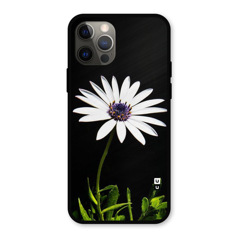 Flower White Spring Metal Back Case for iPhone 12 Pro