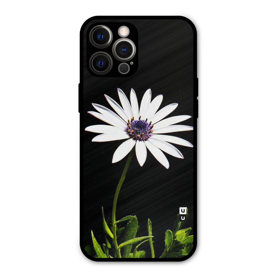 Flower White Spring Metal Back Case for iPhone 12 Pro Max