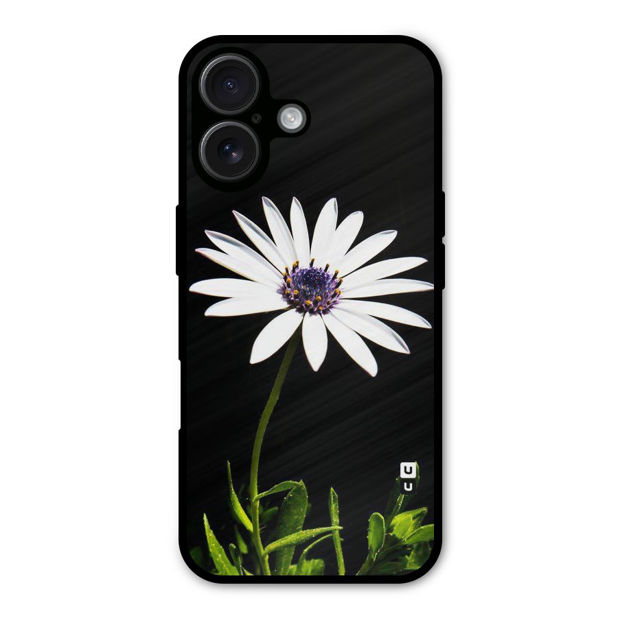 Flower White Spring Metal Back Case for iPhone 16