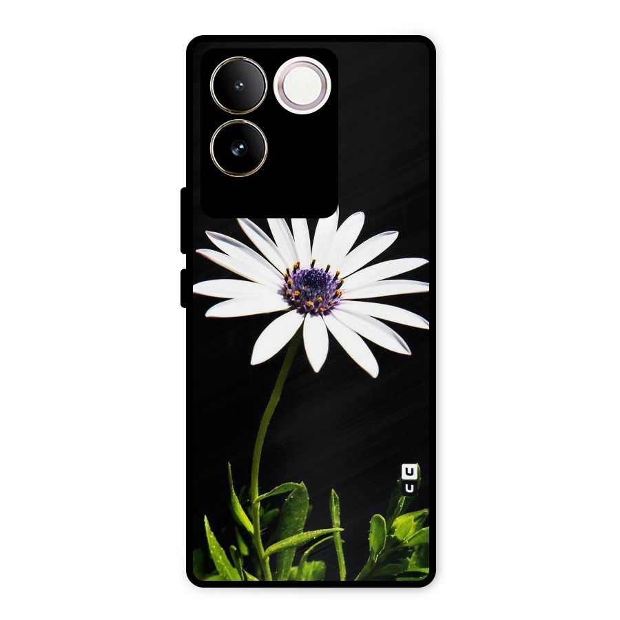 Flower White Spring Metal Back Case for iQOO Z7 Pro