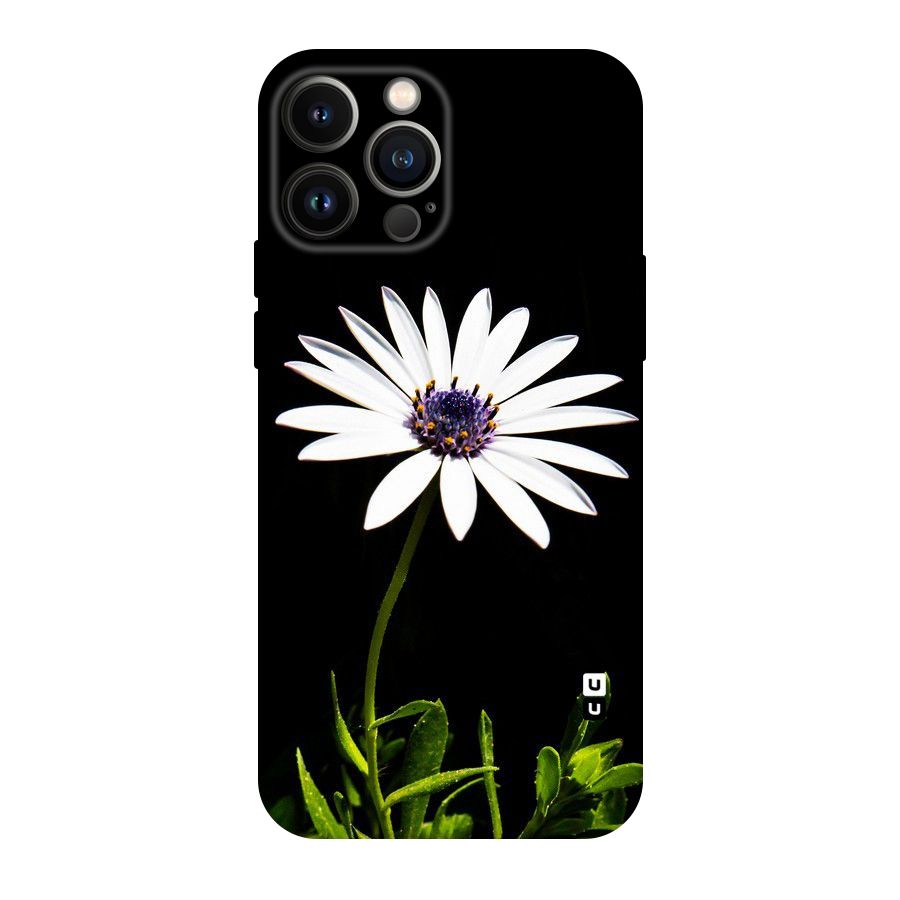 Flower White Spring Original Polycarbonate Back Case for iPhone 13 Pro Max
