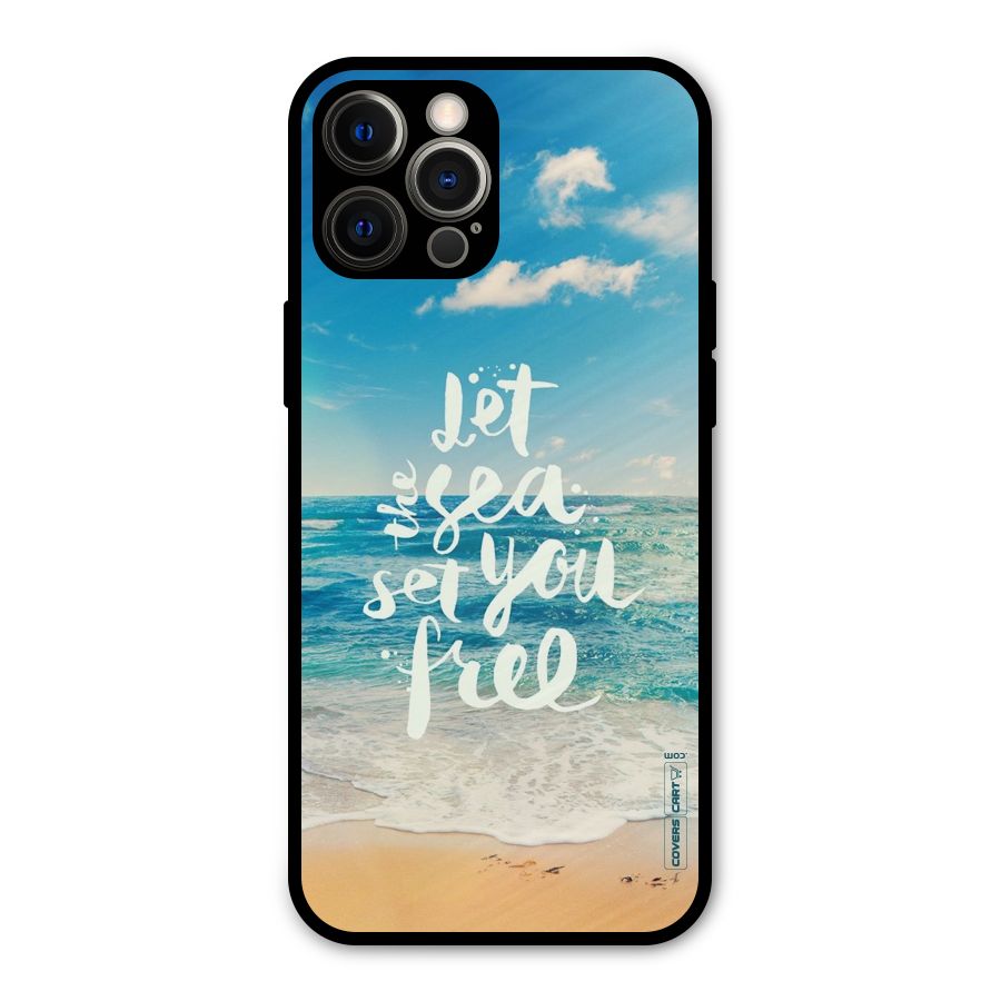 Free Sea Metal Back Case for iPhone 12 Pro Max