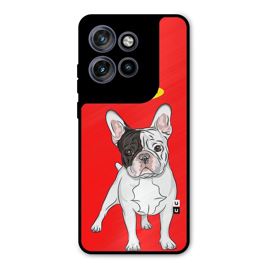 French Cute Angel Doggo Metal Back Case for Motorola Edge 50 Neo