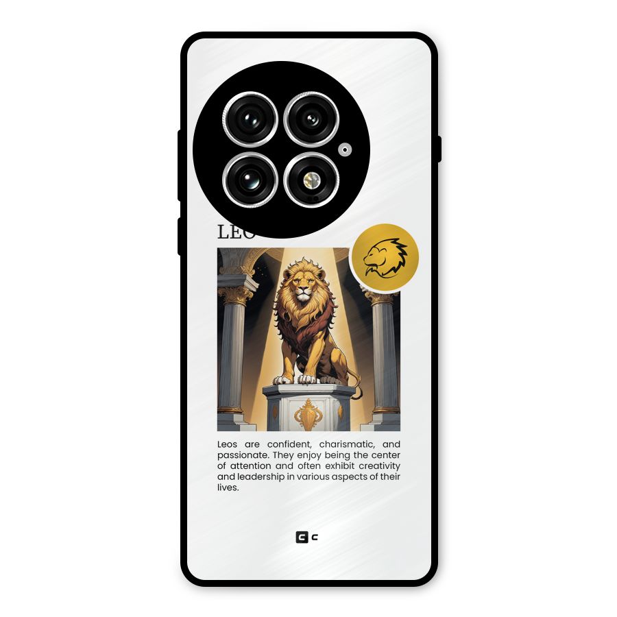 Leader Leo Metal Back Case for OnePlus 13