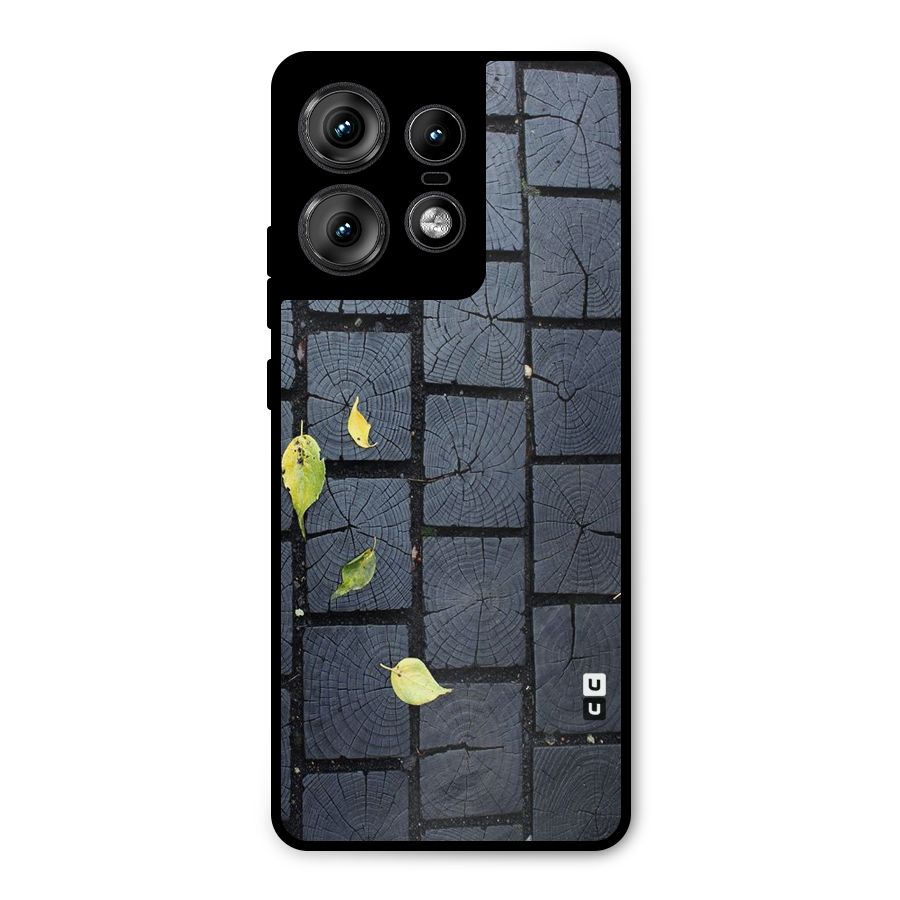 Leaf On Floor Metal Back Case for Motorola Edge 50 Pro