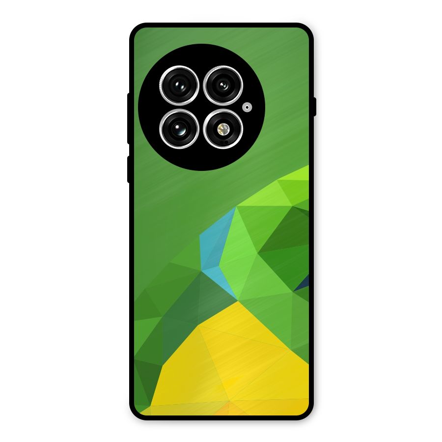 Little Bird Metal Back Case for OnePlus 13