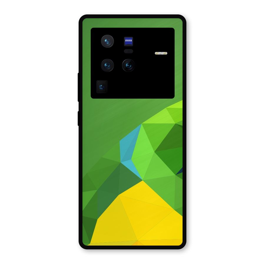 Little Bird Metal Back Case for Vivo X80 Pro