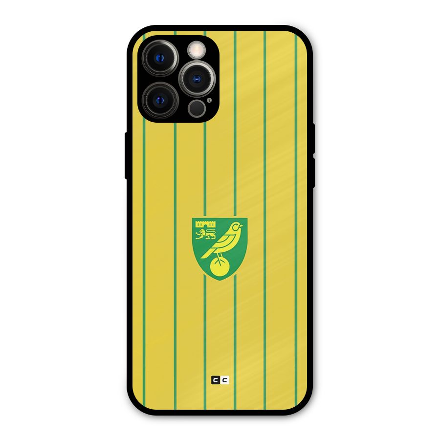 Norwich City Metal Back Case for iPhone 12 Pro Max