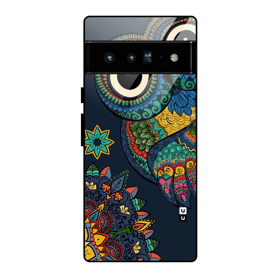 Owl Eyes Glass Back Case for Google Pixel 6 Pro