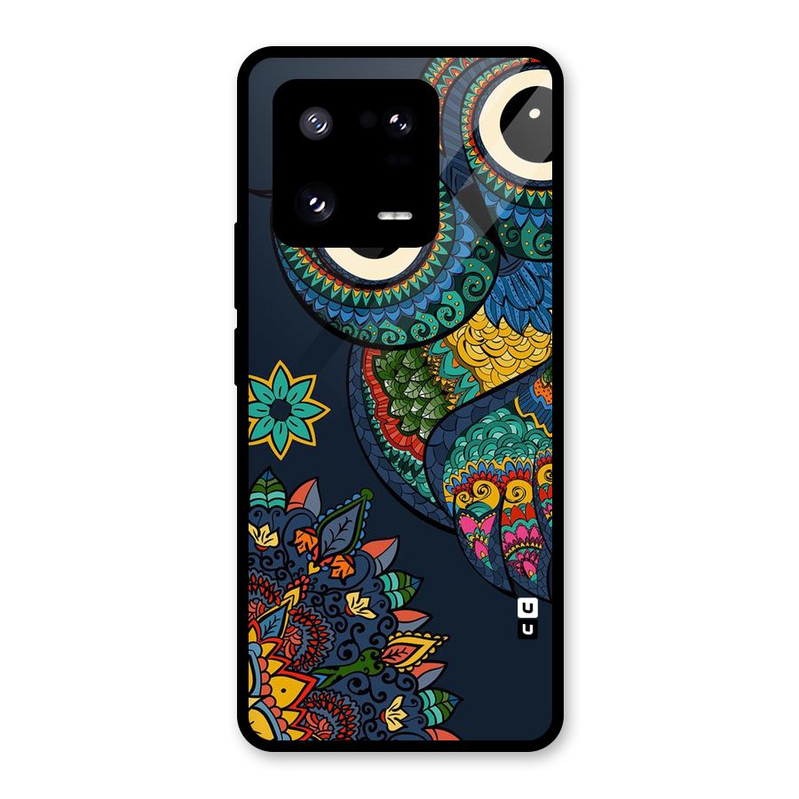 Owl Eyes Glass Back Case for Xiaomi 13 Pro