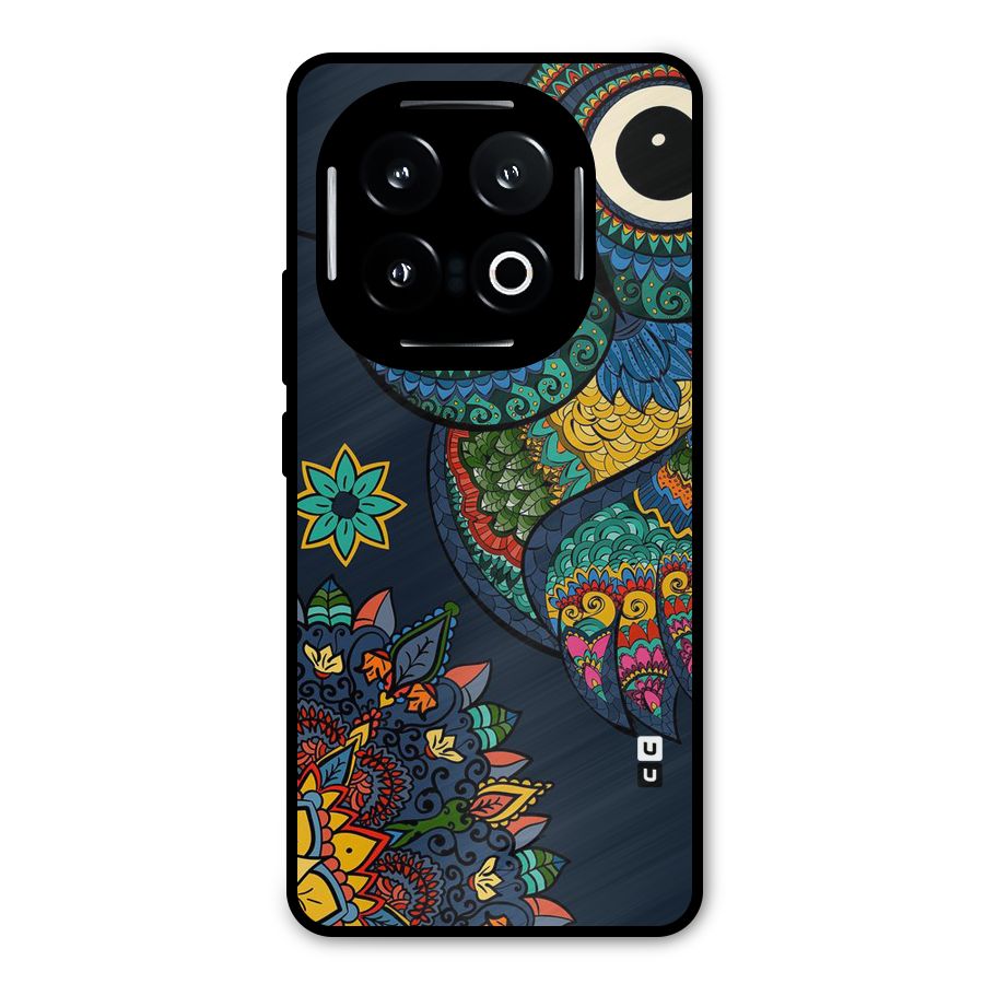 Owl Eyes Metal Back Case for iQOO 13