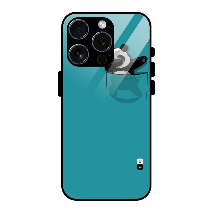 Panda Dabbing Away Glass Back Case for iPhone 15 Pro