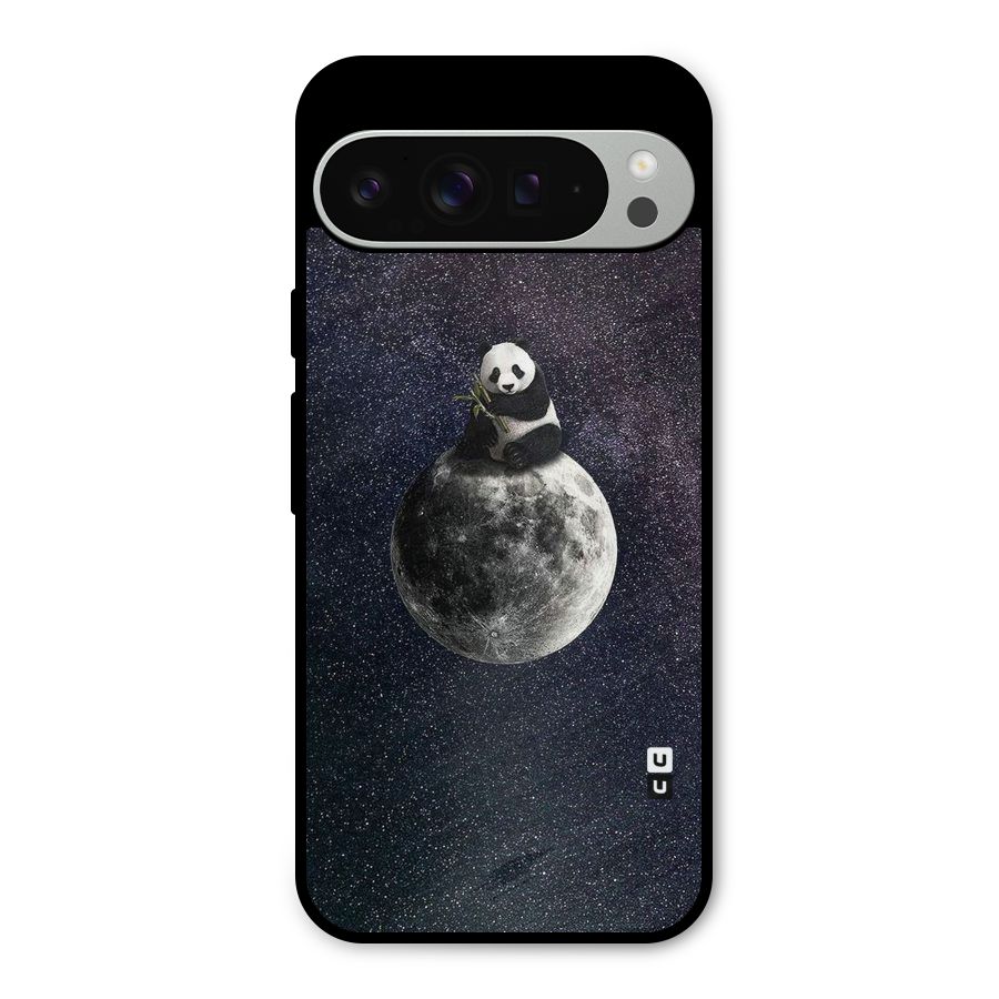 Panda Space Metal Back Case for Google Pixel 9 Pro XL