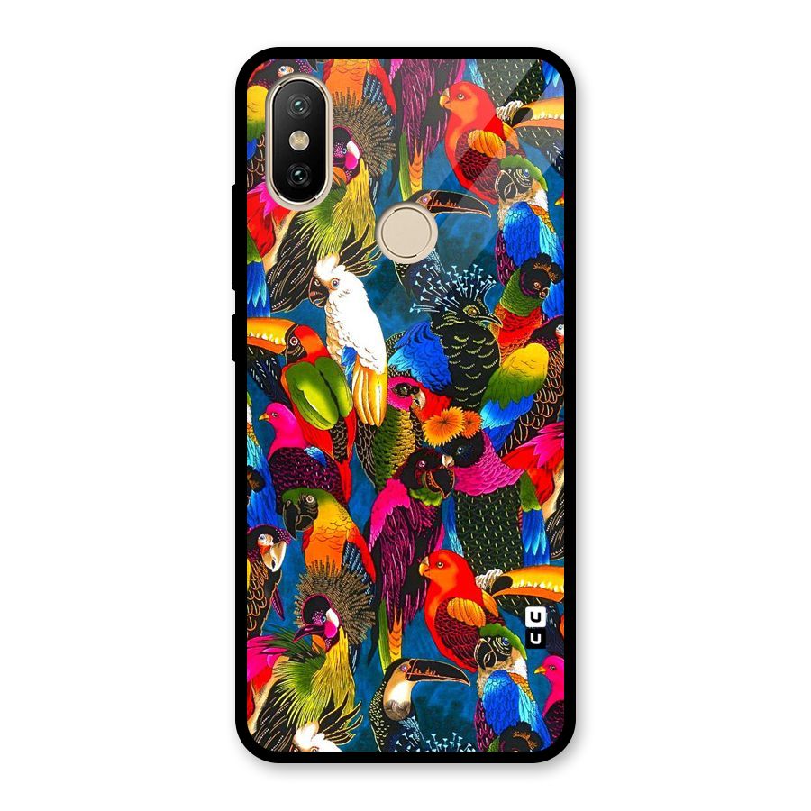 Parrot Art Glass Back Case for Redmi A2