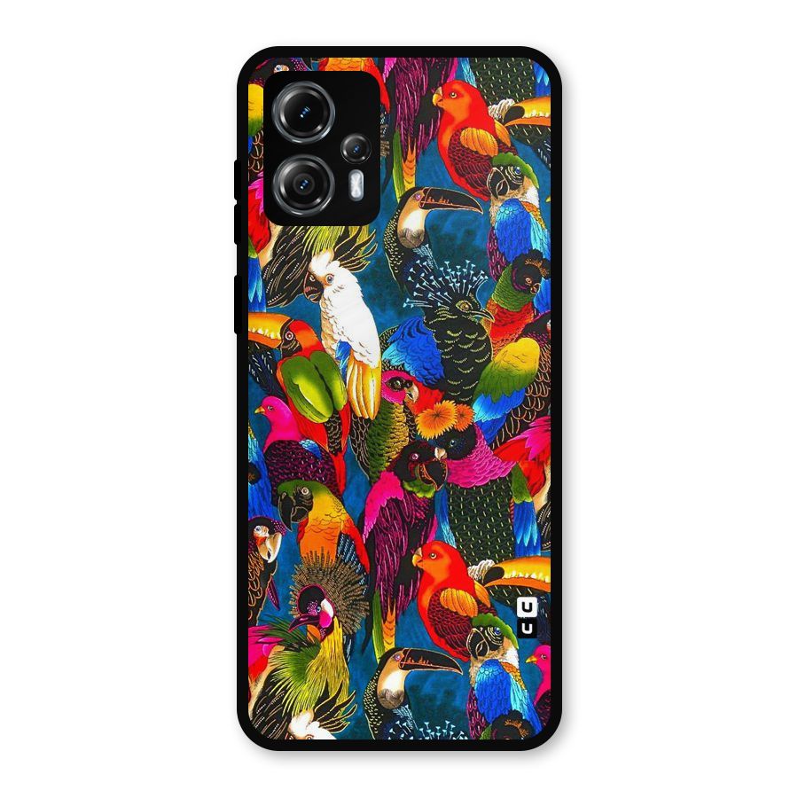 Parrot Art Metal Back Case for Moto G13