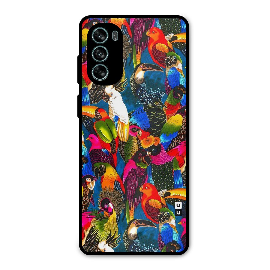 Parrot Art Metal Back Case for Moto G62