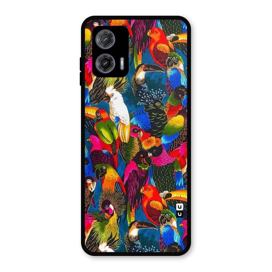 Parrot Art Metal Back Case for Moto G73