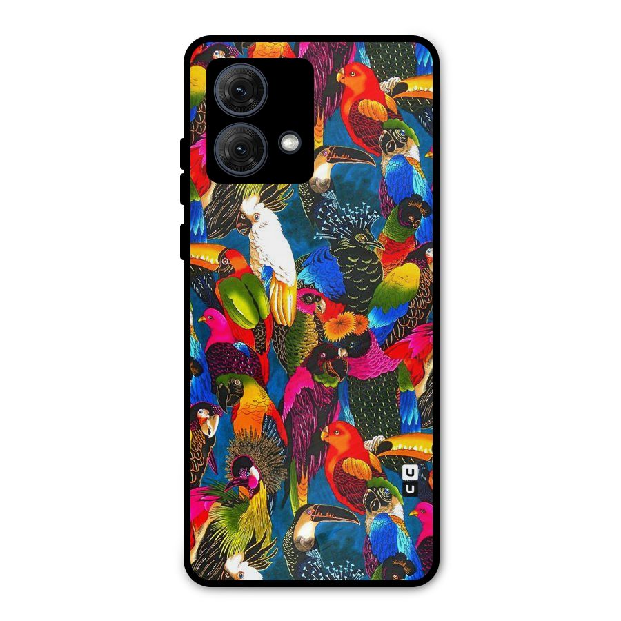 Parrot Art Metal Back Case for Moto G84
