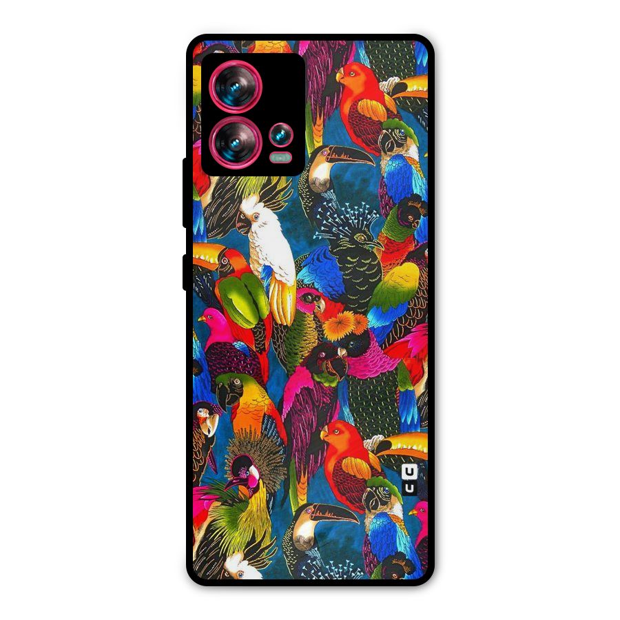 Parrot Art Metal Back Case for Motorola Edge 30 Fusion