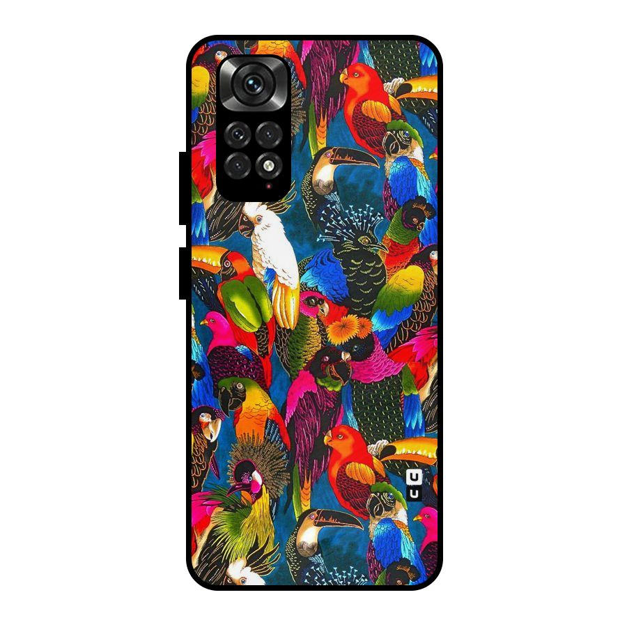 Parrot Art Metal Back Case for Redmi Note 11 Pro Plus 5G