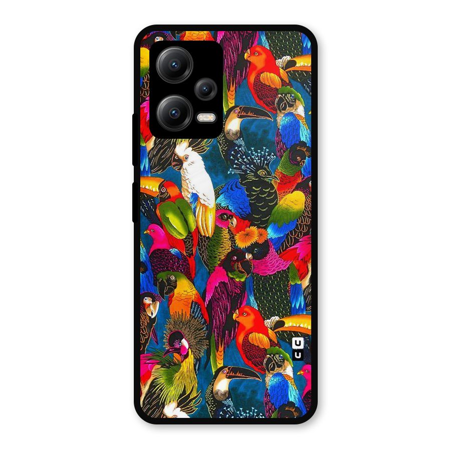 Parrot Art Metal Back Case for Redmi Note 12 5G