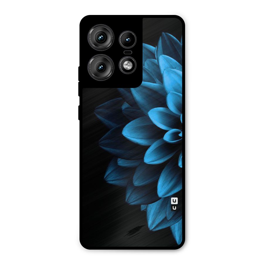 Petals In Blue Metal Back Case for Motorola Edge 50 Pro