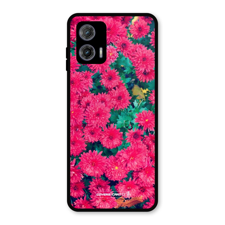 Pink Flowers Metal Back Case for Moto G73