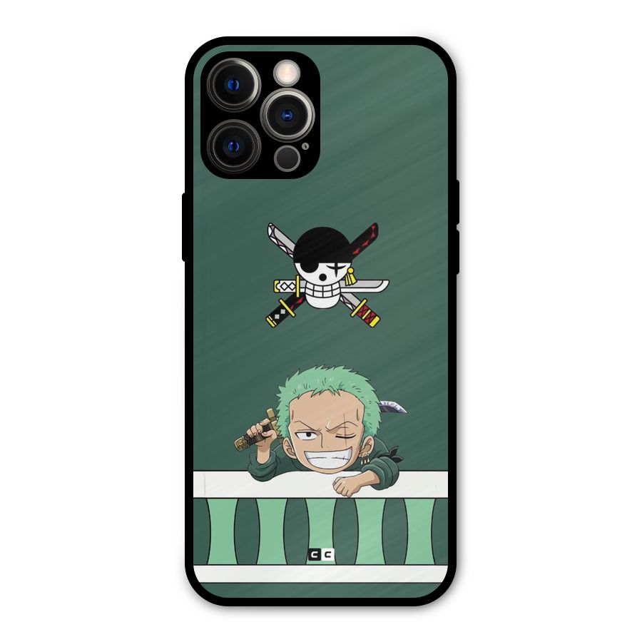 Pirate Hunter Zoro Metal Back Case for iPhone 12 Pro Max