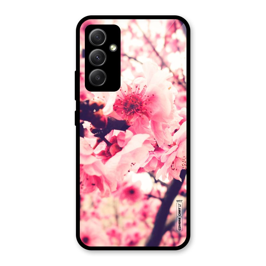 Pretty Pink Flowers Glass Back Case for Galaxy A34
