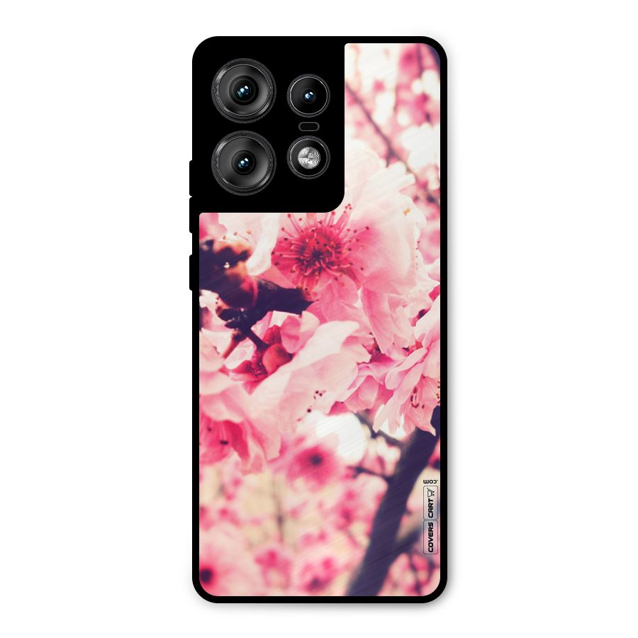 Pretty Pink Flowers Metal Back Case for Motorola Edge 50 Pro