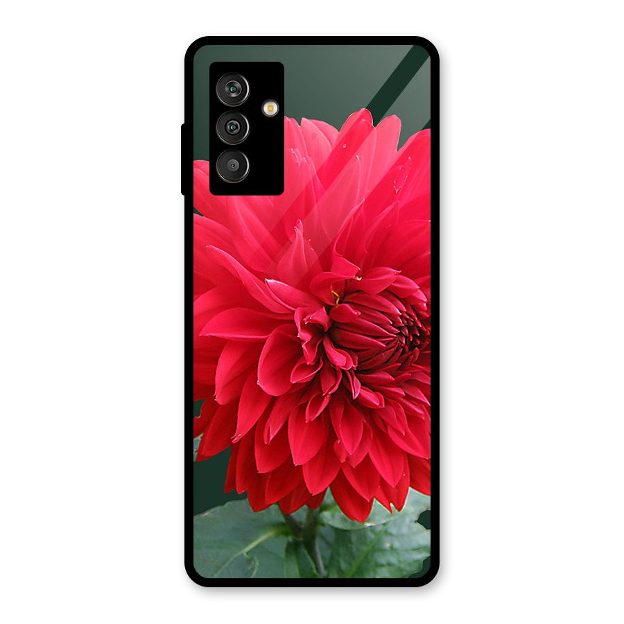 RedFlower. Glass Back Case for Galaxy M13
