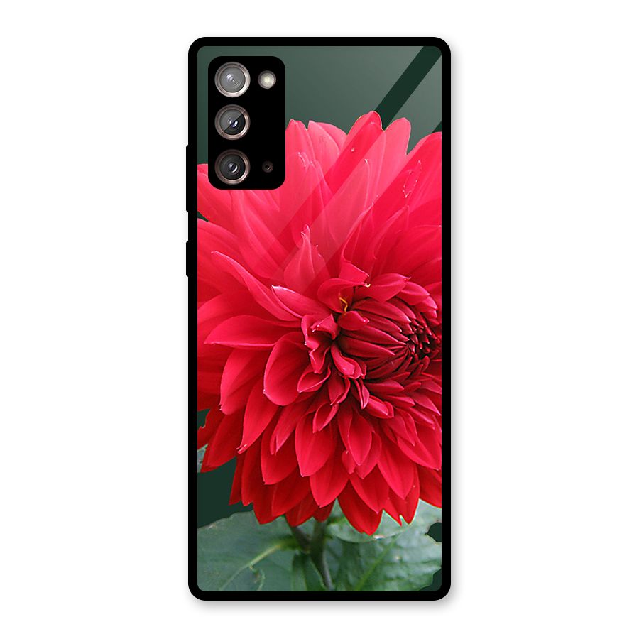 RedFlower. Glass Back Case for Galaxy Note 20