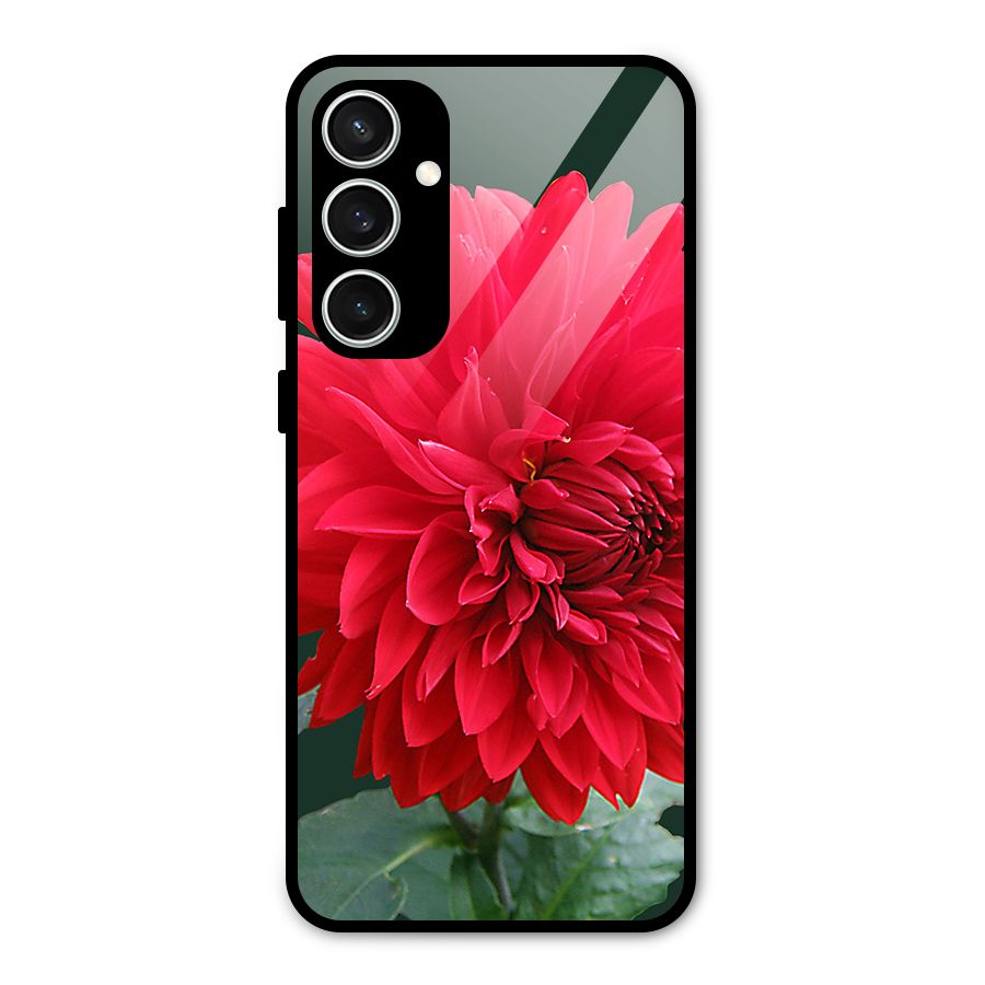 RedFlower. Glass Back Case for Galaxy S23 FE